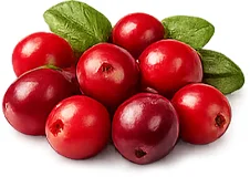 Urozenix — turna yemişi (cranberry) özü